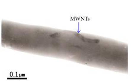 TEM images of MWNTs/PU nanofibers without thermal treatment [Liu et al 2012]