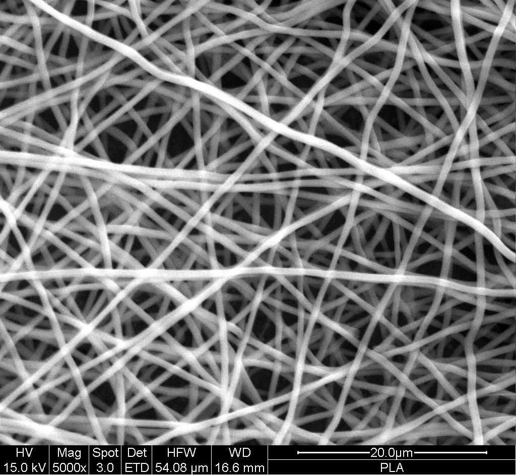 Autoclaved PLLA electrospun fibrous scaffold