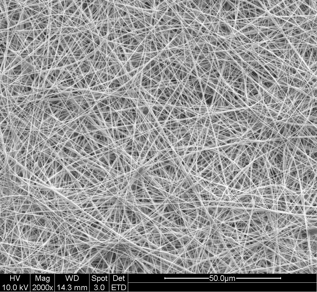 SEM image of electrospun membrane