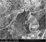lamellar arranged nanofibers 