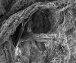Nanofibrous yarn microstructure