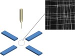 array parallel electrode