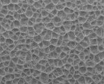 Dimpled/honeycomb nanofibrous membrane